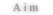 AIM Address
