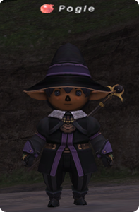 Pogle, Final Fantasy XI Character