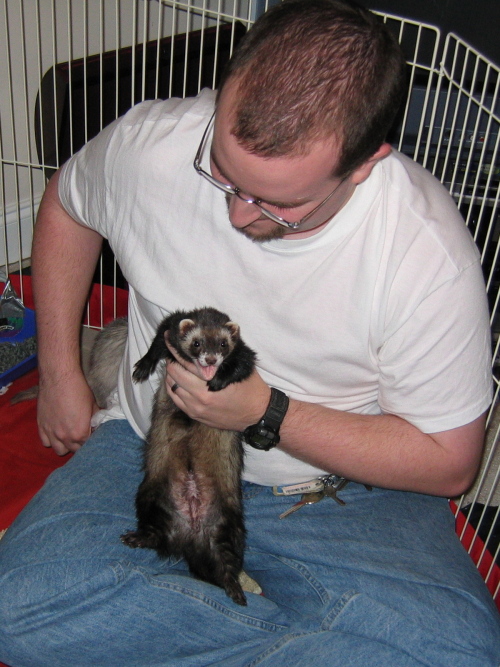 04202008_laughingferret.jpg